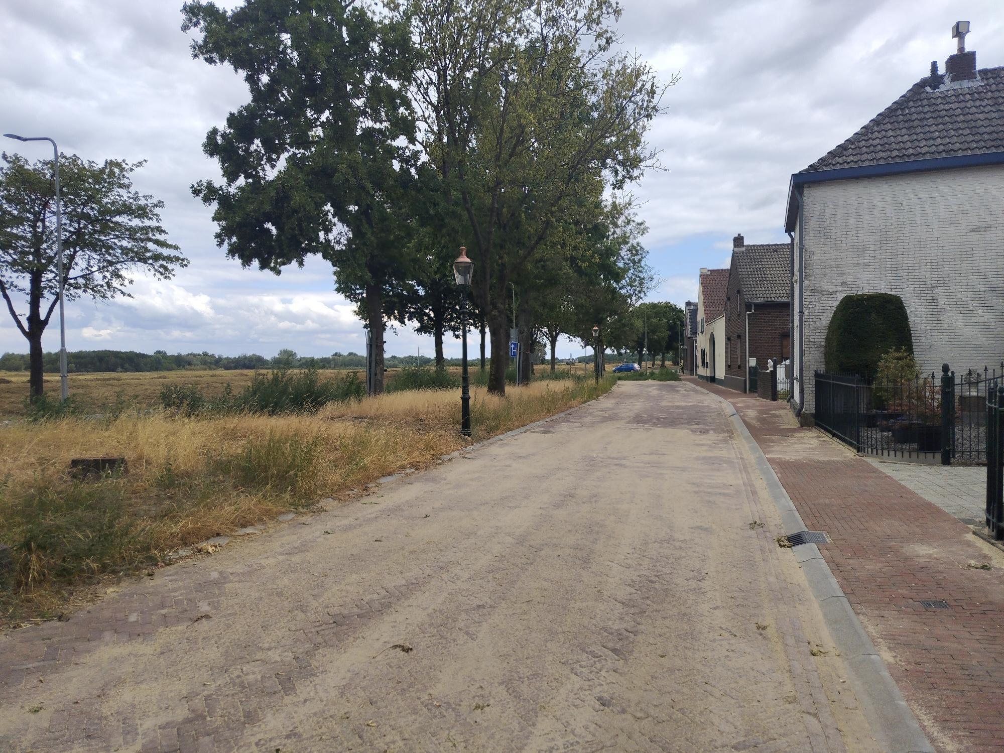 Parallelweg met oude straatlantaarns